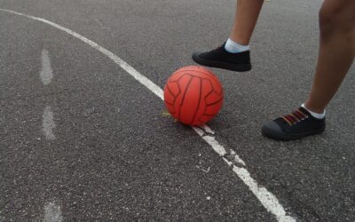 Le olimpiadi dei pinguini